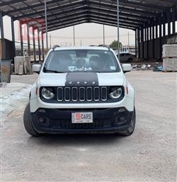 جيب رينيجيد